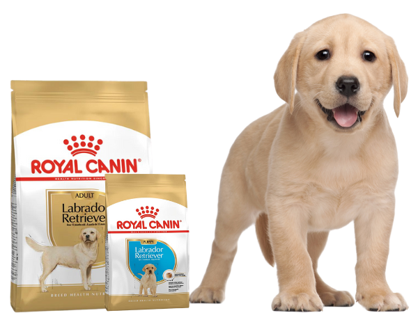 Best care sales online pet shop